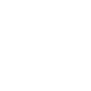 icon2