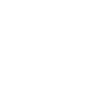 icon3